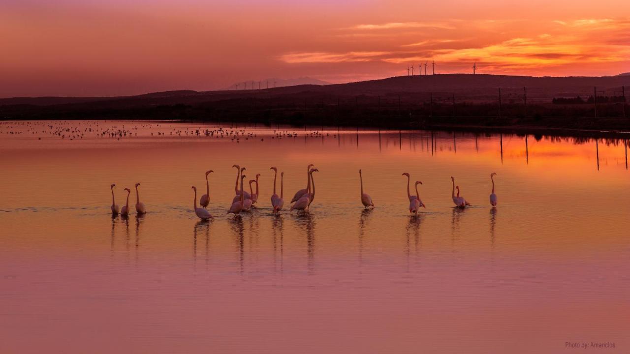 Viglamo Domaine Presqu'Ile De La Franqui Hotel Leucate Luaran gambar